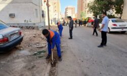 پاکسازی و هرس فضای سبز و درختان شهرک ولیعصر در پاسخ به مطالبه ساکنین
