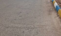 پاکسازی و بهسازی محیطی در بلوار بیبیان انجام شد