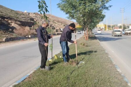 حرکت سبز شهرداری در سطح شهر؛ کاشت و ساماندهی فضای سبز در محورهای اصلی